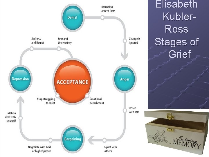 Elisabeth Kubler. Ross Stages of Grief Elisabeth Kubler. Ross Stages of Grief