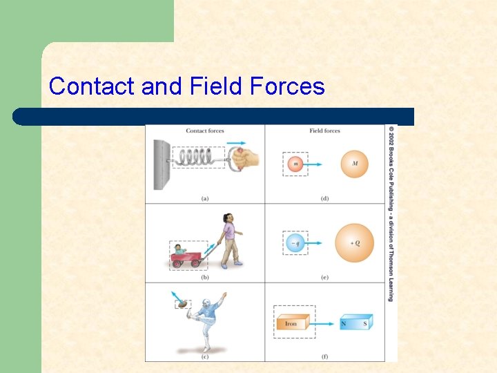 Contact and Field Forces 