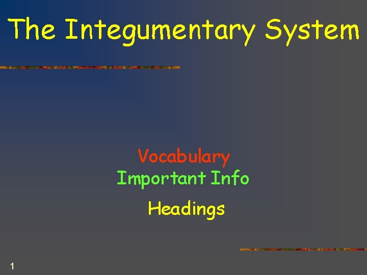 The Integumentary System Vocabulary Important Info Headings 1 