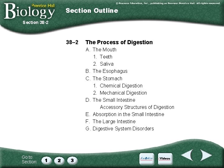 Section Outline Section 38 -2 38– 2 The Process of Digestion A. The Mouth