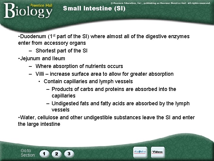 Small Intestine (SI) • Duodenum (1 st part of the SI) where almost all
