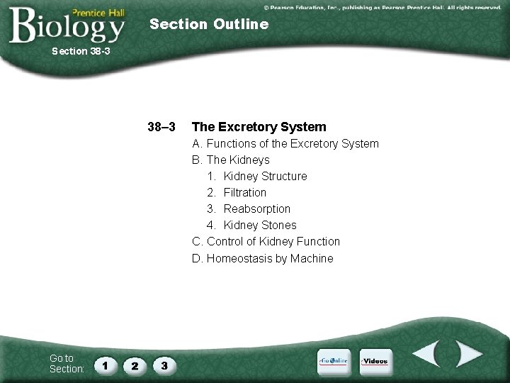 Section Outline Section 38 -3 38– 3 The Excretory System A. Functions of the