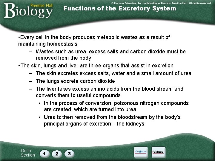 Functions of the Excretory System • Every cell in the body produces metabolic wastes