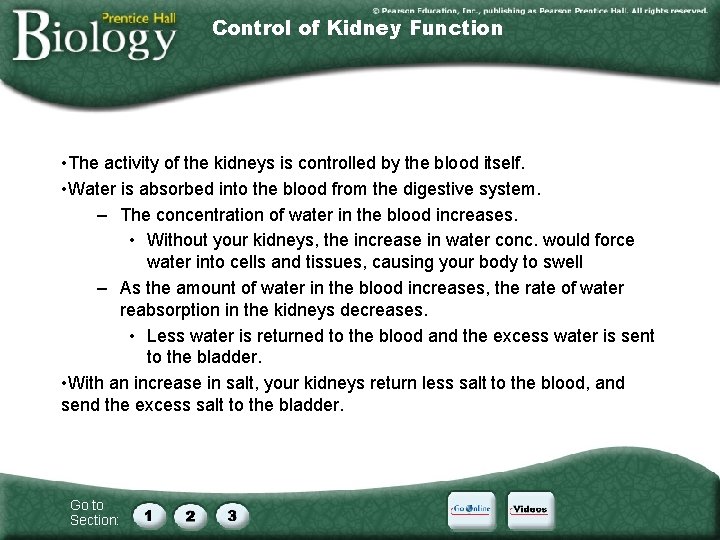 Control of Kidney Function • The activity of the kidneys is controlled by the