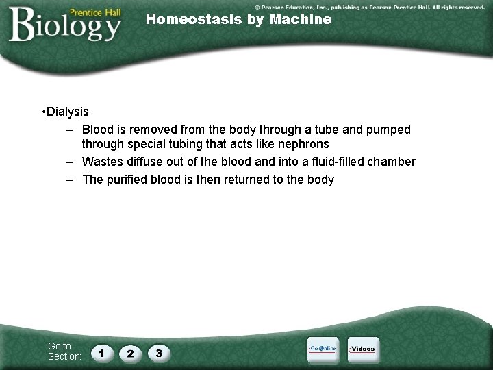 Homeostasis by Machine • Dialysis – Blood is removed from the body through a