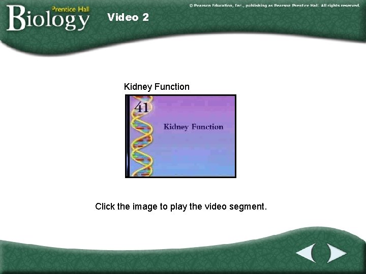 Video 2 Kidney Function Click the image to play the video segment. 