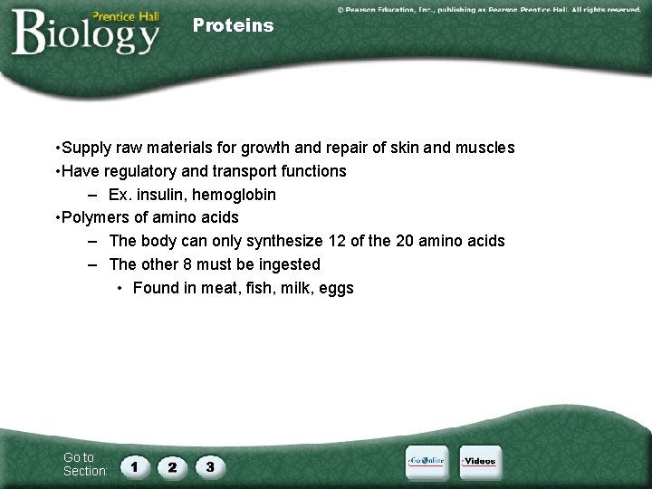 Proteins • Supply raw materials for growth and repair of skin and muscles •