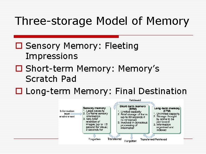 Three-storage Model of Memory o Sensory Memory: Fleeting Impressions o Short-term Memory: Memory’s Scratch