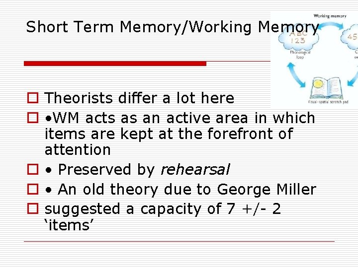 Short Term Memory/Working Memory o Theorists differ a lot here o • WM acts