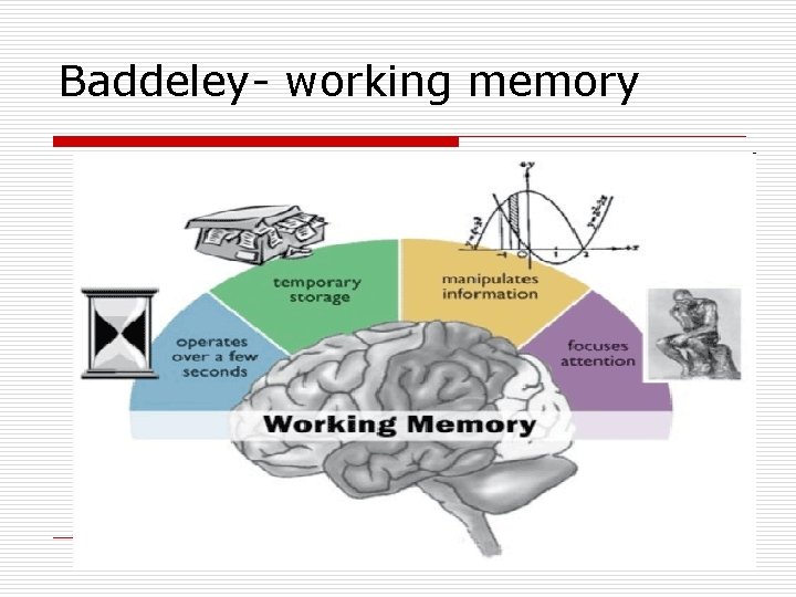 Baddeley- working memory 