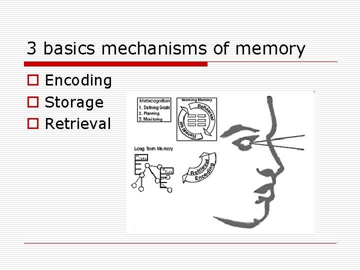 3 basics mechanisms of memory o Encoding o Storage o Retrieval 