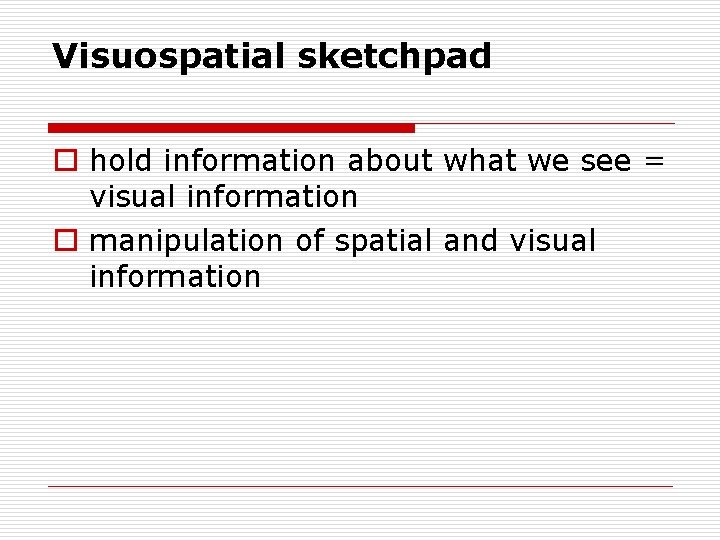 Visuospatial sketchpad o hold information about what we see = visual information o manipulation