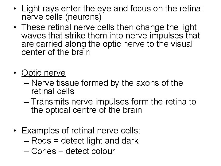  • Light rays enter the eye and focus on the retinal nerve cells