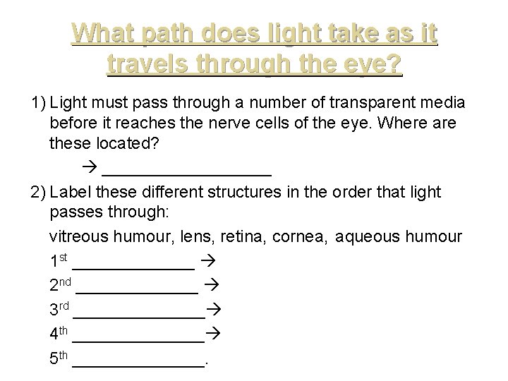 What path does light take as it travels through the eye? 1) Light must