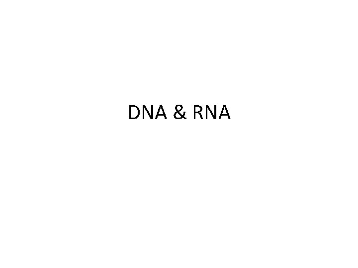 DNA & RNA 