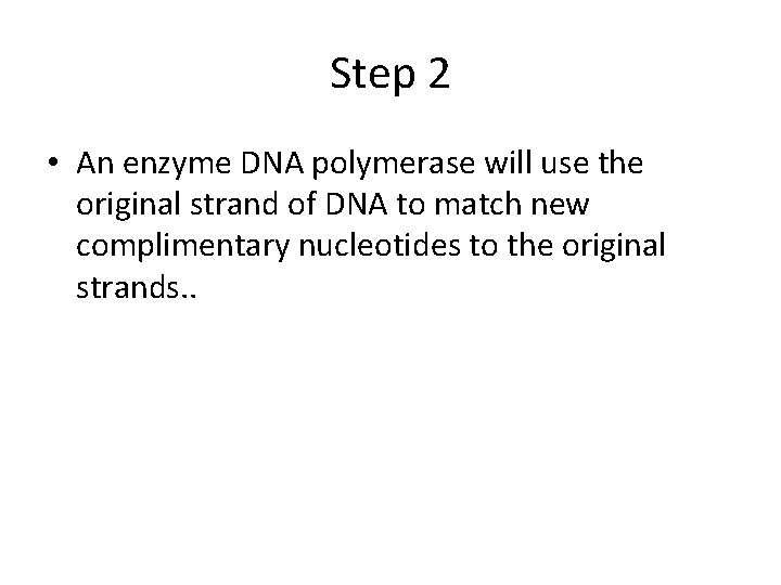 Step 2 • An enzyme DNA polymerase will use the original strand of DNA