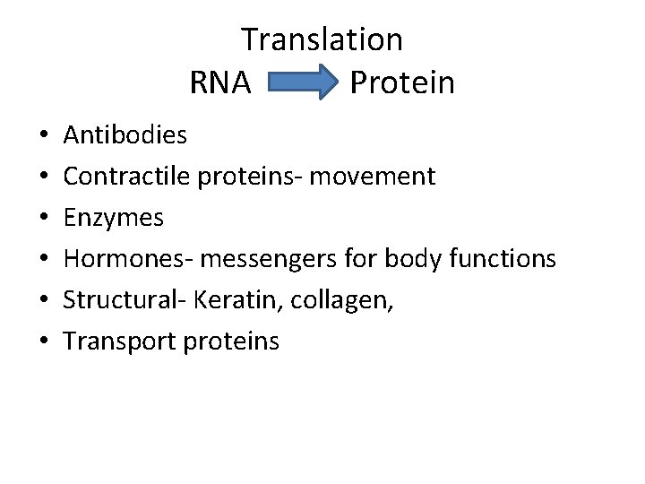 Translation RNA Protein • • • Antibodies Contractile proteins- movement Enzymes Hormones- messengers for