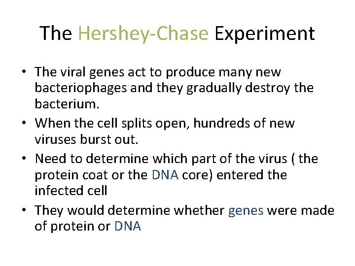 The Hershey-Chase Experiment • The viral genes act to produce many new bacteriophages and
