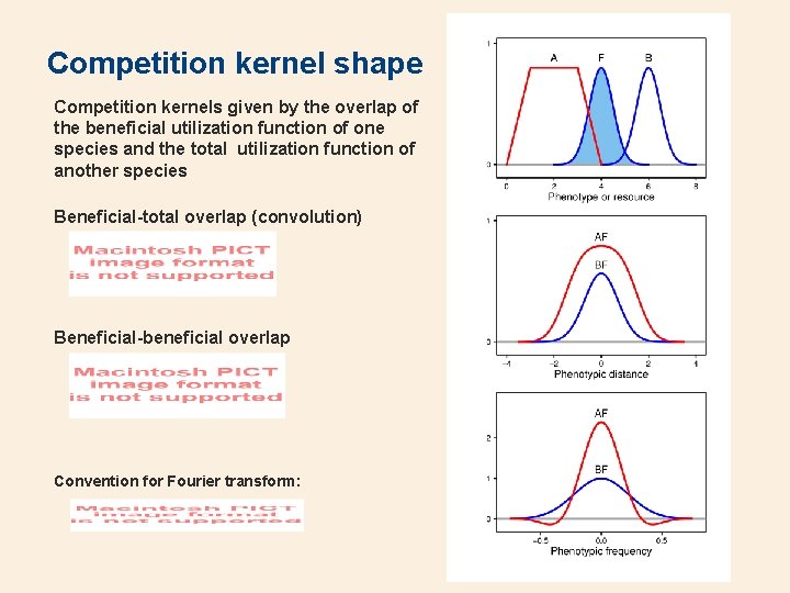 Competition kernel shape Competition kernels given by the overlap of the beneficial utilization function