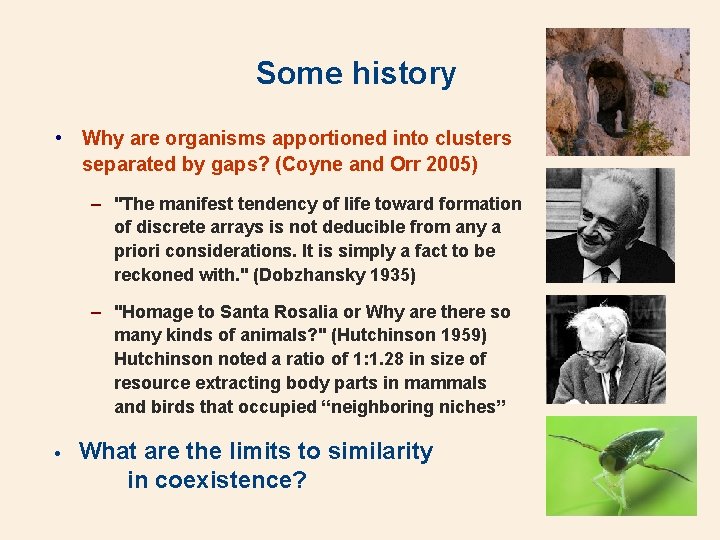 Some history • Why are organisms apportioned into clusters separated by gaps? (Coyne and