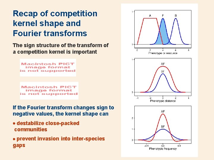 Recap of competition kernel shape and Fourier transforms The sign structure of the transform
