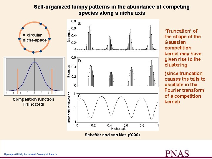 Self-organized lumpy patterns in the abundance of competing species along a niche axis •