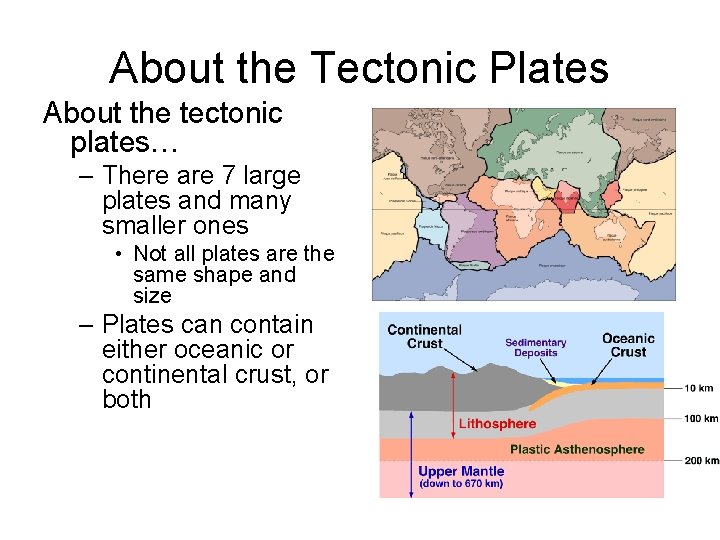 About the Tectonic Plates About the tectonic plates… – There are 7 large plates