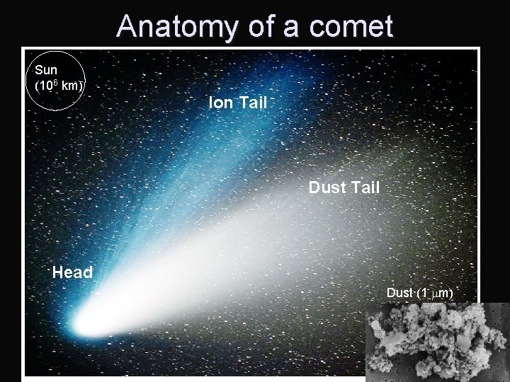 Anatomy of a comet Sun (106 km) Ion Tail Dust Tail Head Dust (1