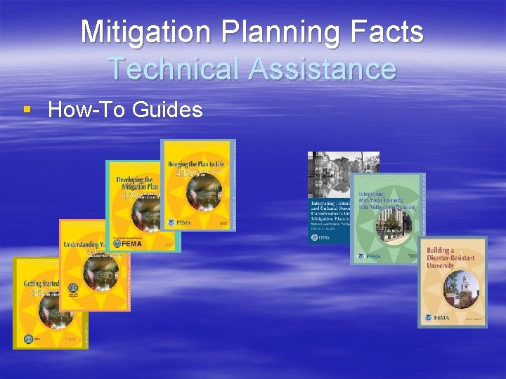 Mitigation Planning Facts Technical Assistance § How-To Guides 