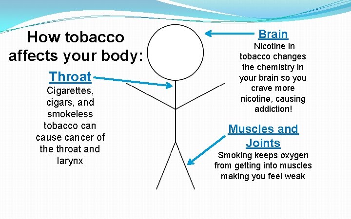 How tobacco affects your body: Throat Cigarettes, cigars, and smokeless tobacco can cause cancer