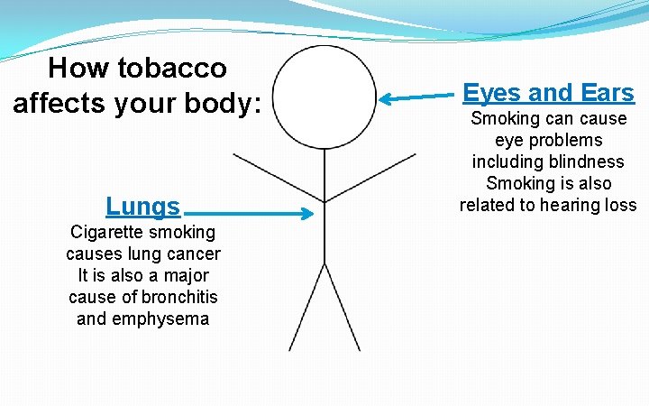 How tobacco affects your body: Lungs Cigarette smoking causes lung cancer It is also