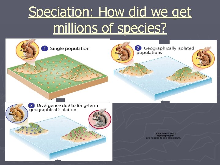 Speciation: How did we get millions of species? 