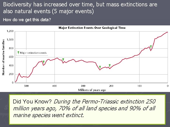 Biodiversity has increased over time, but mass extinctions are also natural events (5 major