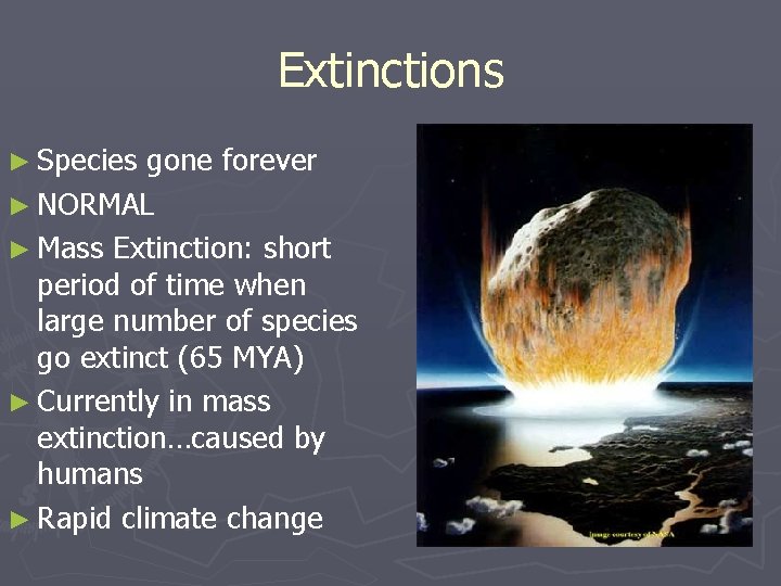 Extinctions ► Species gone forever ► NORMAL ► Mass Extinction: short period of time
