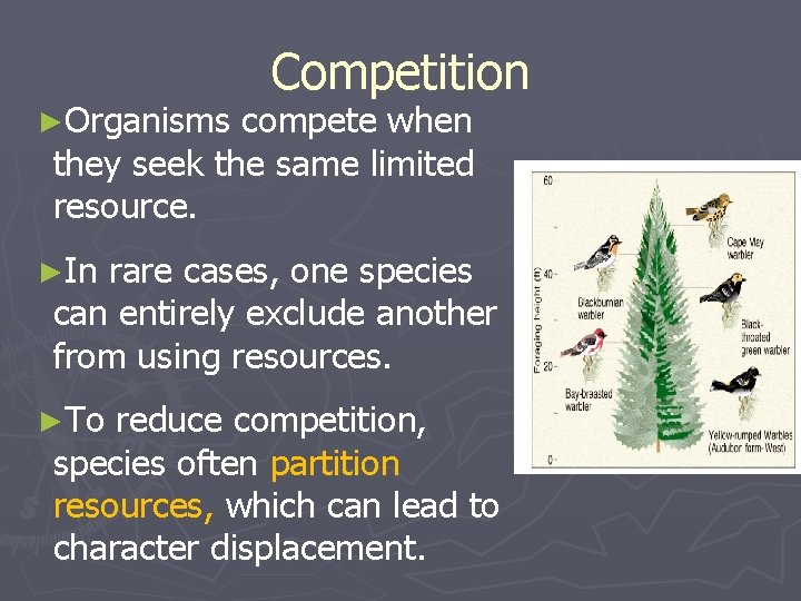 ►Organisms Competition compete when they seek the same limited resource. ►In rare cases, one