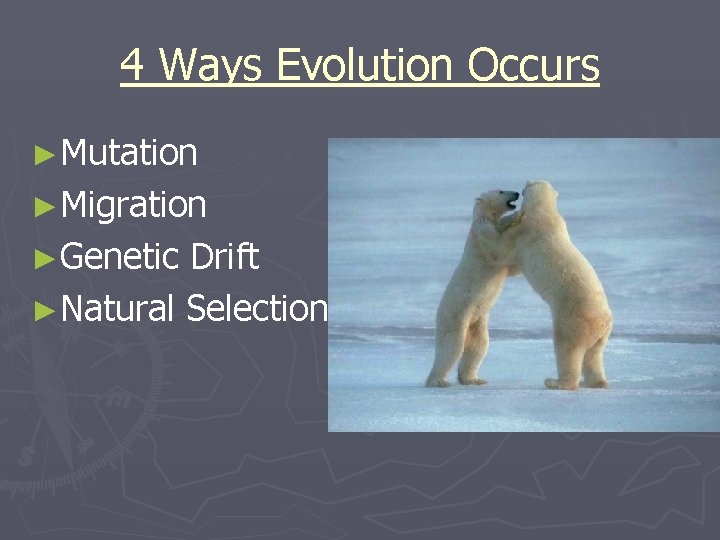 4 Ways Evolution Occurs ►Mutation ►Migration ►Genetic Drift ►Natural Selection 