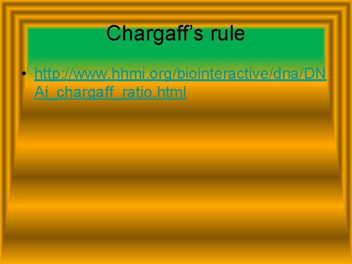 Chargaff’s rule • http: //www. hhmi. org/biointeractive/dna/DN Ai_chargaff_ratio. html 