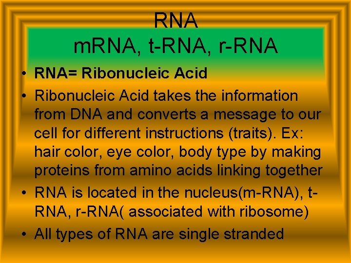 RNA m. RNA, t-RNA, r-RNA • RNA= Ribonucleic Acid • Ribonucleic Acid takes the