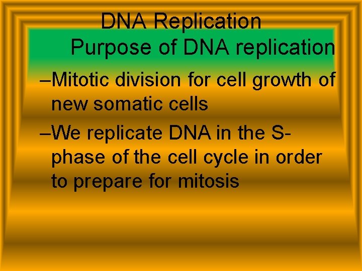 DNA Replication Purpose of DNA replication –Mitotic division for cell growth of new somatic