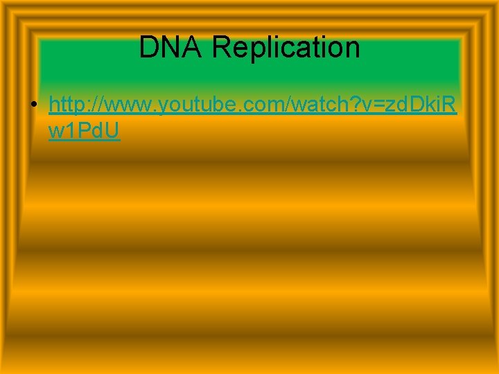 DNA Replication • http: //www. youtube. com/watch? v=zd. Dki. R w 1 Pd. U