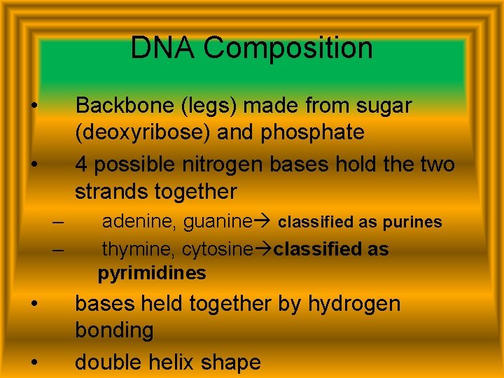 DNA Composition • Backbone (legs) made from sugar (deoxyribose) and phosphate 4 possible nitrogen