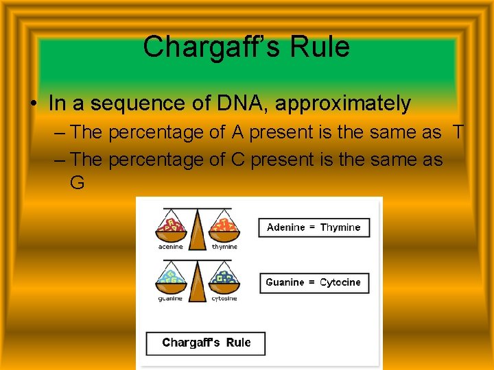 Chargaff’s Rule • In a sequence of DNA, approximately – The percentage of A