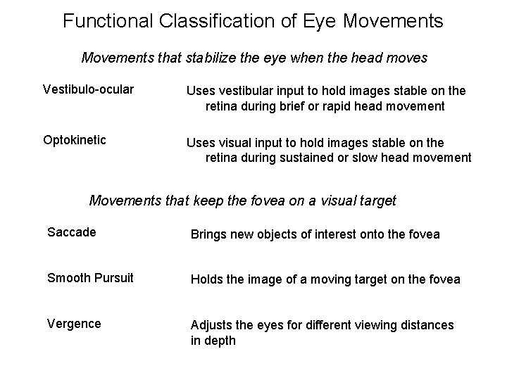 Functional Classification of Eye Movements that stabilize the eye when the head moves Vestibulo-ocular