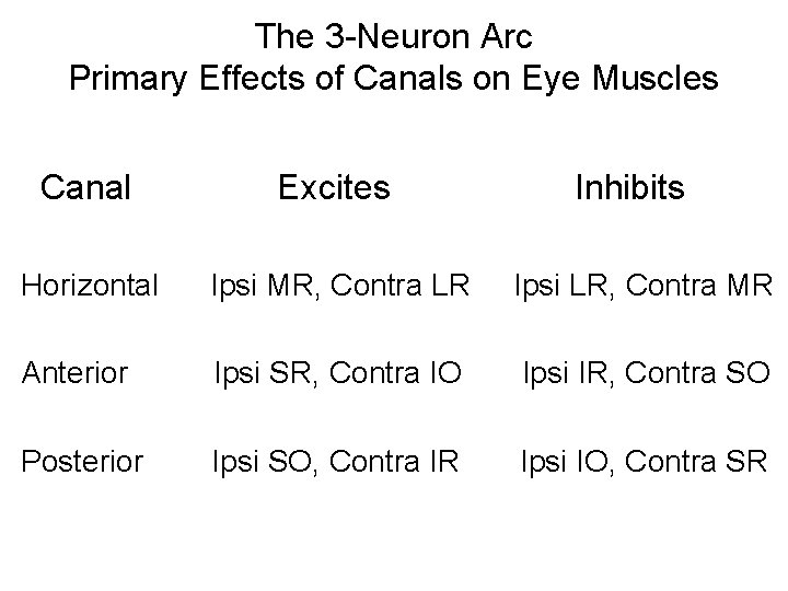 The 3 -Neuron Arc Primary Effects of Canals on Eye Muscles Canal Excites Inhibits