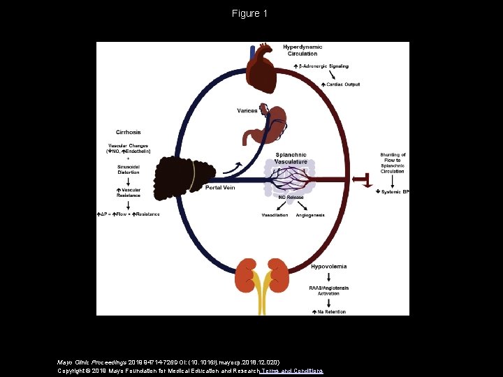 Figure 1 Mayo Clinic Proceedings 2019 94714 -726 DOI: (10. 1016/j. mayocp. 2018. 12.