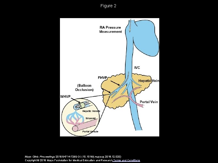 Figure 2 Mayo Clinic Proceedings 2019 94714 -726 DOI: (10. 1016/j. mayocp. 2018. 12.