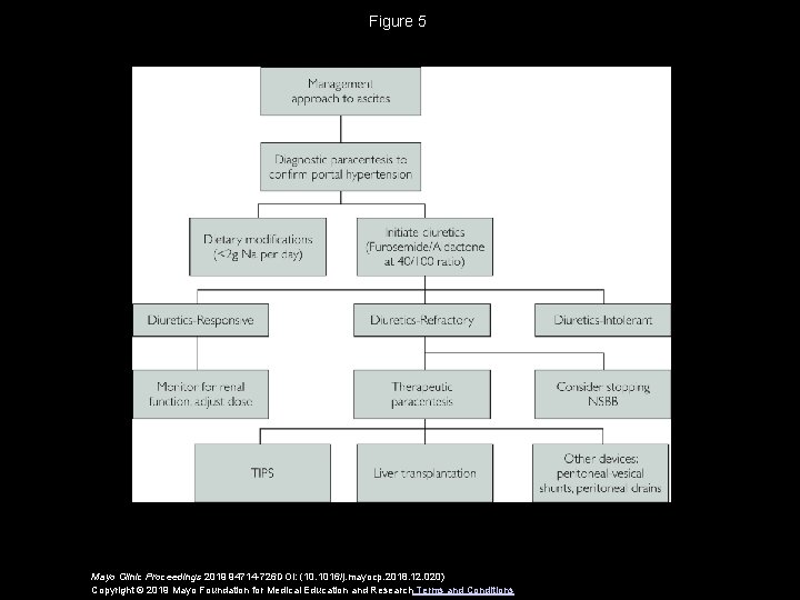 Figure 5 Mayo Clinic Proceedings 2019 94714 -726 DOI: (10. 1016/j. mayocp. 2018. 12.