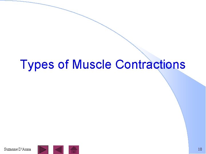 Types of Muscle Contractions Suzanne D'Anna 10 