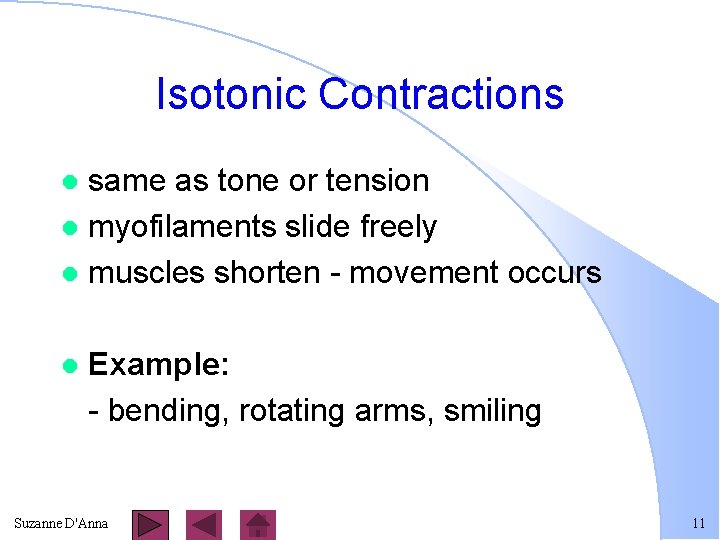 Isotonic Contractions same as tone or tension l myofilaments slide freely l muscles shorten