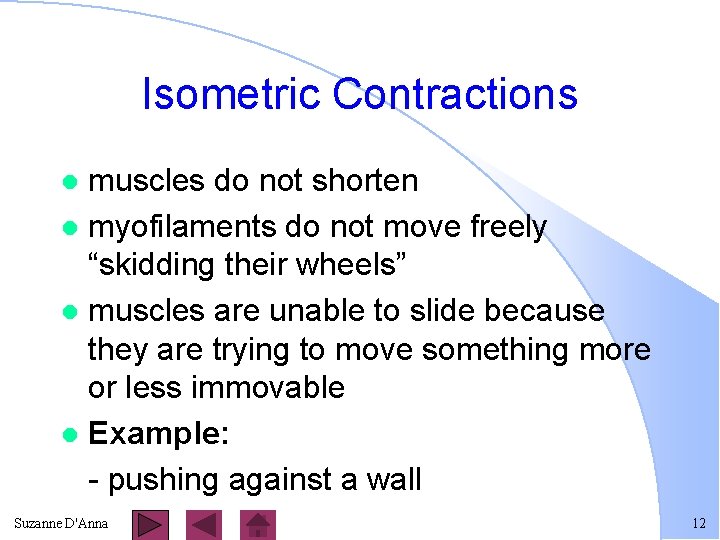 Isometric Contractions muscles do not shorten l myofilaments do not move freely “skidding their